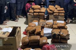 Polda Metro Jaya tangkap tiga pengedar narkoba jenis ganja seberat 83 kg di Bekasi