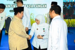 Khofifah terima Satyalancana Wira Karya dari Presiden Prabowo