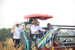 Mentan: Tanam jagung meningkatkan ekonomi dan kejahatan di hulu