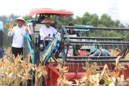 Plt Bupati sebut panen raya jagung bukti sektor pangan Bekasi produktif