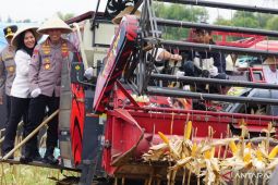 Polri gelar panen raya jagung serentak di 36 wilayah dukung swasembada pangan