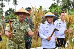Kodam Merdeka dukung penuh kebijakan pemerintah bidang ketahanan pangan