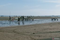 Pemkab Penajam bangun wisata pantai terpadu gerakkan ekonomi pesisir