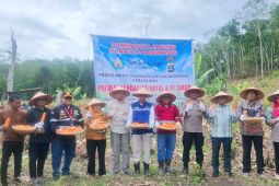 Polres Madina dan PT SMGP panen raya Jagung dukung ketahanan pangan nasional