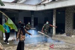 Dinkes Pamekasan gerakkan kader posyandu untuk cegah penyebaran chikungunya
