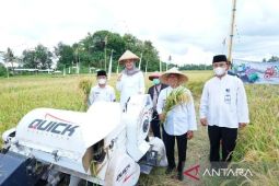 Banyuwangi catat produksi beras 2025 capai 546 ribu ton