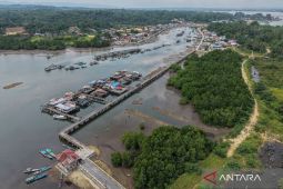 KLH nyatakan luas mangrove nasional 2025 seluas 3,45 juta ha