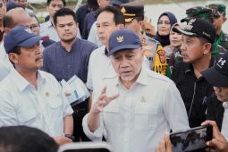 Pemerintah tinjau percepatan pemulihan pangan pascabanjir Aceh