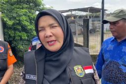 Wali Kota Eva Dwiana tinjau sejumlah wilayah terdampak banjir di Bandarlampung