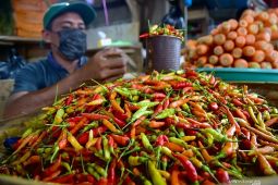 Komoditas Cabai rawit merah Rp53.854/kg, dan telur ayam Rp29.938/kg Jumat ini