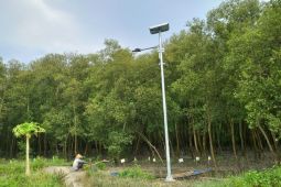 PHE OSES hadirkan lampu tenaga surya di Pesisir Desa Sriminosari