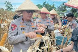 Wakapolda Sulut sebut produksi jagung di Sulut turun 3,84 persen