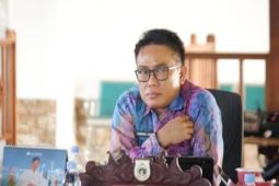 1.928 kelahiran sapi program inseminasi buatan di Sulbar