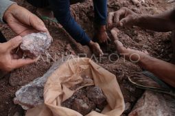 WNA jadi satu tersangka kasus tambang emas ilegal Sekotong Lombok Barat