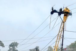 PLN pulihkan gangguan jaringan listrik di Lahat pasca bencana