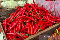 Harga pangan Sabtu ini, cabai rawit merah Rp58.250/kg dan telur ayam Rp32.450/kg
