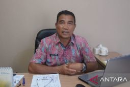 DPPAKB: Faktor ekonomi memicu KDRT di Pangkalpinang tinggi