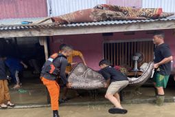 SAR-Palu bantu proses evakuasi warga terdampak banjir di Wani Kabupaten Donggala