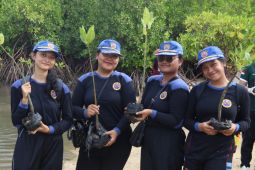 Undiksha Singaraja tanam mangrove lestarikan pesisir Sumberkima