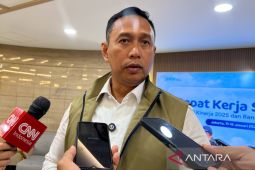 Ini yang dilakukan Bulog jaga stabilitas beras