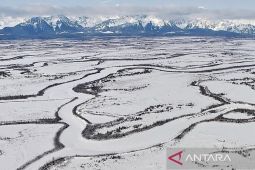 Trump dikabarkan perintahkan panglima operasi AS rencanakan invasi ke Greenland
