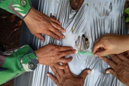 Jejak satwa liar di Lampung Timur bukan milik harimau