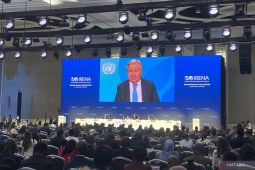 Global clean energy investment reaches USD2.2 trillion in 2025: UN