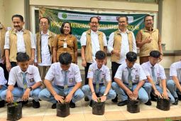 Buleleng jadi percontohan ketahanan pangan berbasis sekolah di Bali