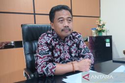 Bulog salurkan 19.817 ton beras SPHP di Tanah Papua pada 2025