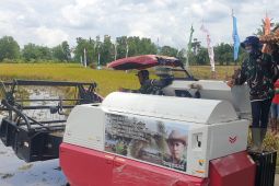 Pemkab Banyuasin bangun SPBU khusus untuk alsintan di Muara Telang