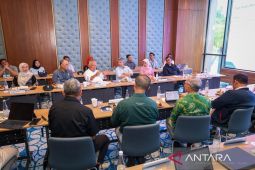 Otorita IKN--Pertamina kolaborasi bangun ekosistem energi bersih