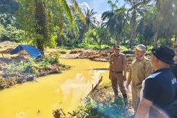 Tinjau tambang emas ilegal, Bupati Aceh Jaya: Sudah merusak hutan