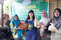 Wamen PPPA dorong pemanfaatan pangan lokal dimaksimalkan pascabencana