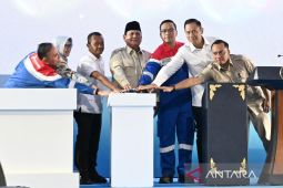 Prabowo eyes energy sufficiency in five years via solar power