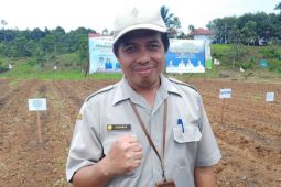 BRMP Maluku siapkan 586 penyuluh pertanian dampingi petani perkuat swasembada pangan