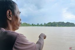 Ratusan hektare lahan sawah di Tangerang ikut terendam banjir