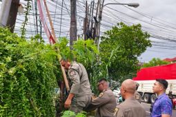 Satpol PP Denpasar bersihkan media promosi liar yang kotori fasum