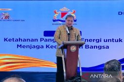 Airlangga: RI swasembada solar setelah Presiden meresmikan RDMP Balikpapan