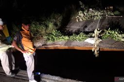 Bupati Belitung: Jembatan Air Mungkui I dalam perbaikan pasca diterjang banjir