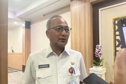 Pemprov Sumsel targetkan perbaikan Jembatan P6 Lalan Muba dirampungkan dalam tujuh bulan