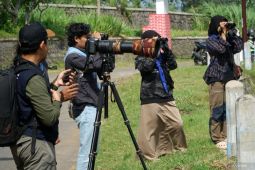 Pengamatan burung migran di Tulungagung