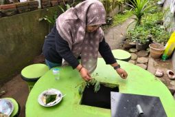 Inovasi 'Tempah Dedoro' tekan sampah organik di Mataram