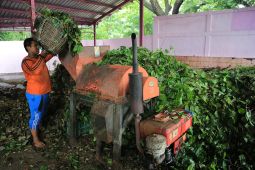 Olah sampah organik, DLH Surabaya hemat biaya angkut sampah Rp6,73 miliar