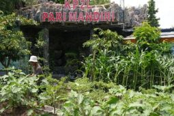 Pemkot Madiun kembangkan program P2L dan P2B demi ketahanan pangan