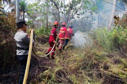 Disdamkarmat bersama TNI dan Polri padamkan kebakaran hutan di Semitan