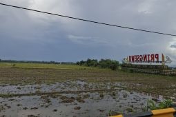Alokasi pupuk subsidi jenis NPK di Lampung capai 387.830 ton pada 2926