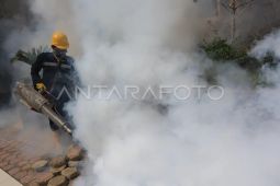 Dinkes Aceh Tamiang pastikan program pengasapan lokasi pengungsian berlanjut