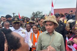 Gibran kembali ke Jakarta, usai tunda kunjungan ke Yahukimo,