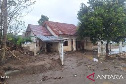 Pemerintah dorong pemulihan pascabencana terpadu di Sumatera