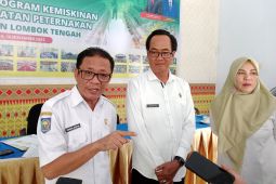 Produksi gabah di Lombok Tengah 2025 capai 509 ribu ton